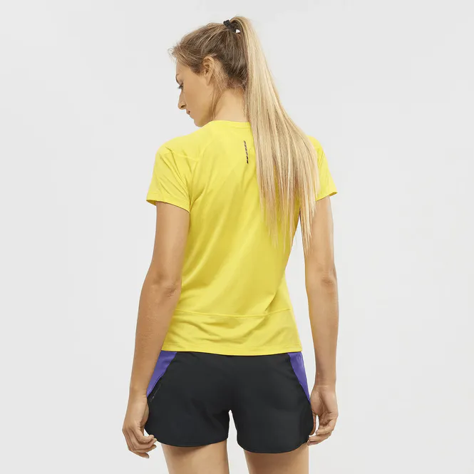 Hovedbilde Salomon Cross Run Ss Tee W Empire Yellow/Heather