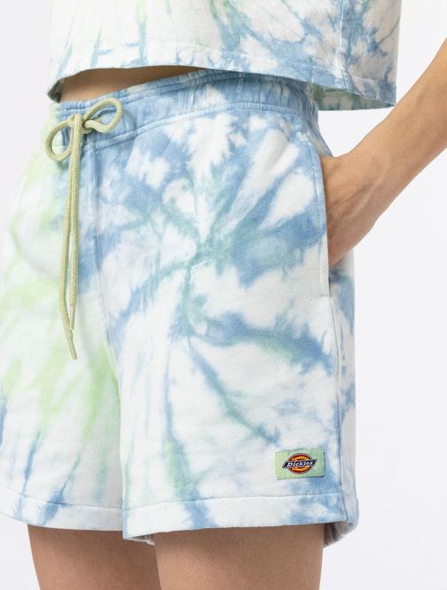 Hovedbilde Dickies Seatac Short W-Celadon Green