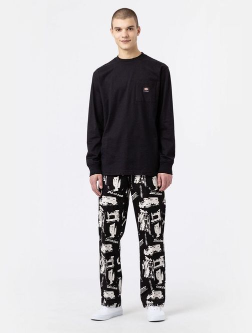 Hovedbilde Dickies Mount Vista Tee LS Black