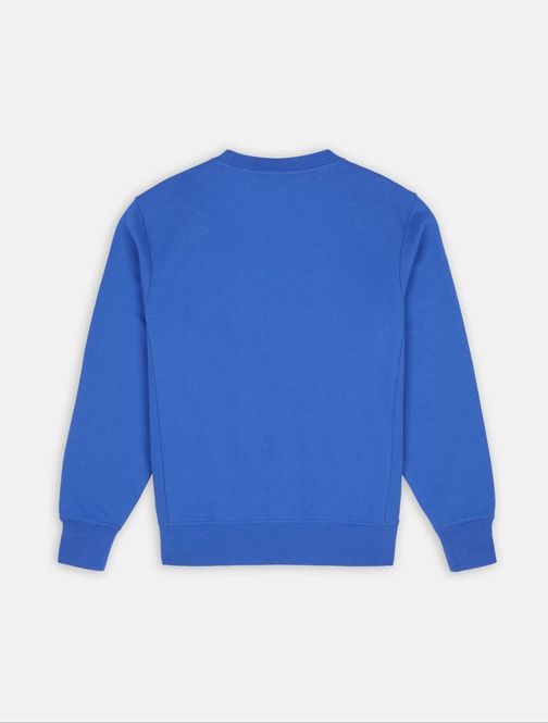 Hovedbilde Dickies Mount Vista Sweatshirt Satin Sky