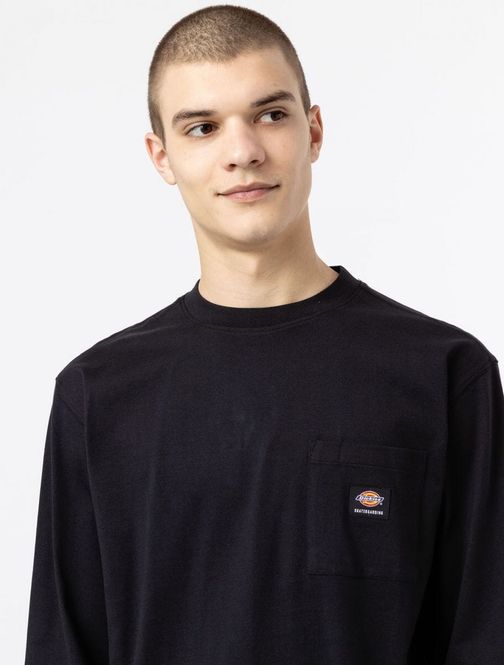 Hovedbilde Dickies Mount Vista Tee LS Black