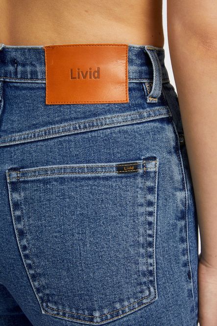 Hovedbilde Livid Ann 